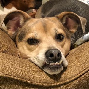 Meet your Posher, Chris